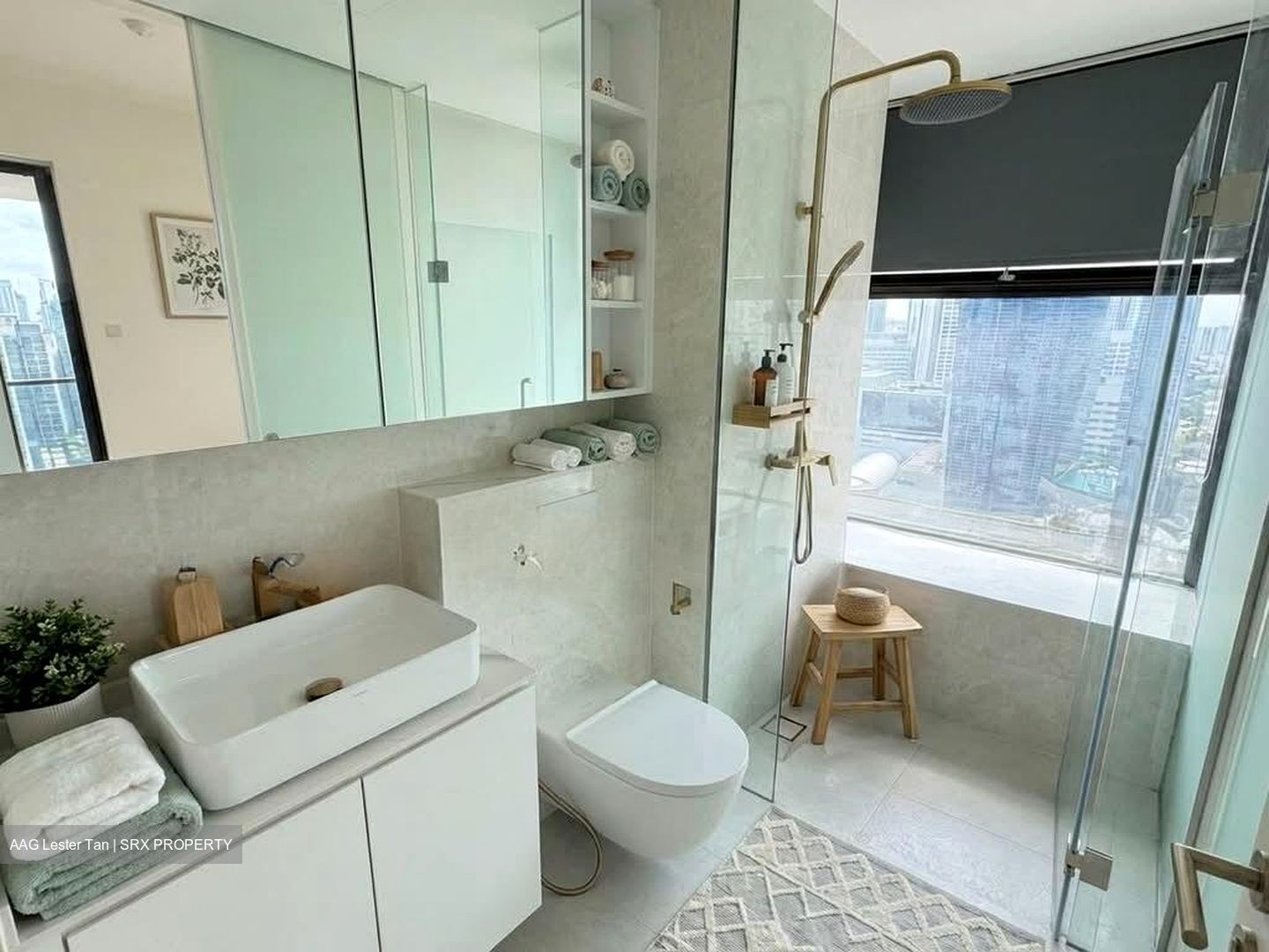 Newton Suites (D11), Apartment #561757671